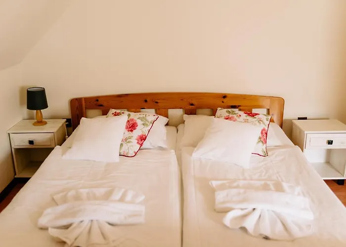 Brygida Spa酒店 库多瓦-兹德鲁伊