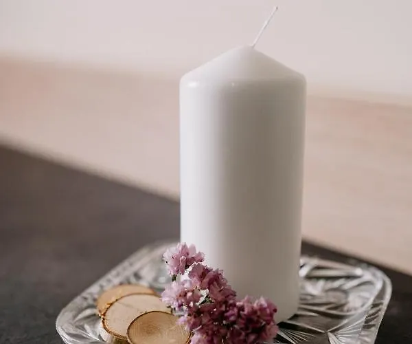 Brygida Spa酒店 3*