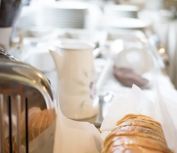 Brygida Spa酒店 3*