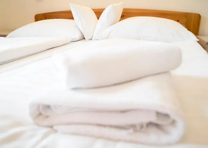 Brygida Spa酒店 3*